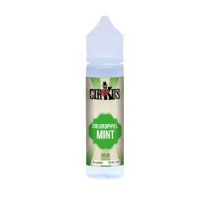 VDLV Mint Gum e-liquid (60ml)